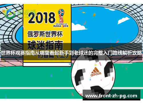 世界杯观赛指南从哪里看起新手到老球迷的完整入门路线解析攻略